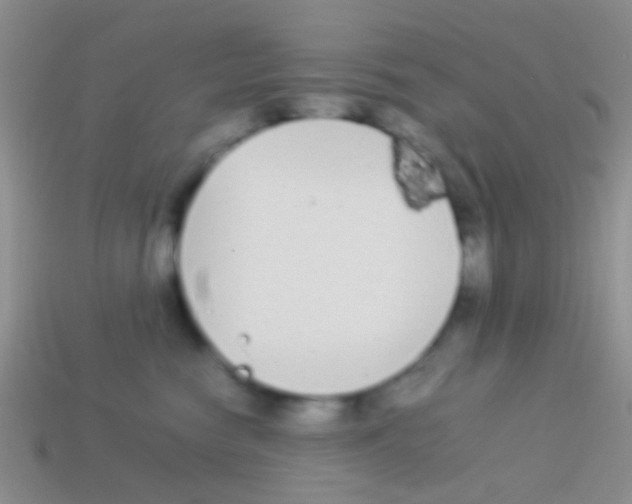 X0000113620474200910161957