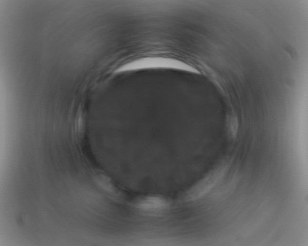 X0000113620475200910161957