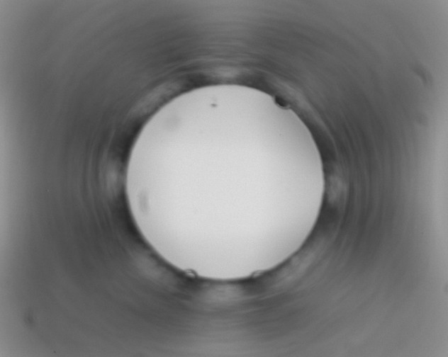 X0000113620476200910161957