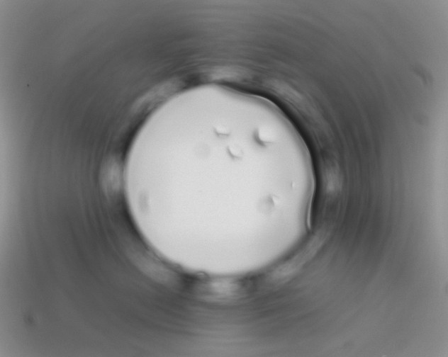 X0000113620478200910161957