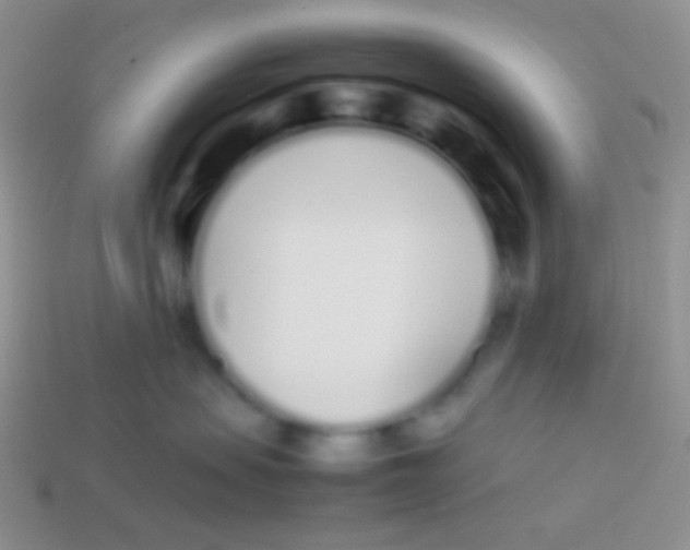 X0000113620479200910161957