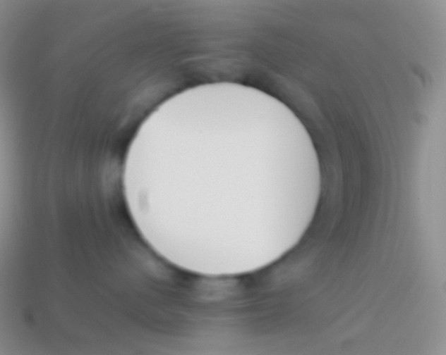 X0000113620480200910161957