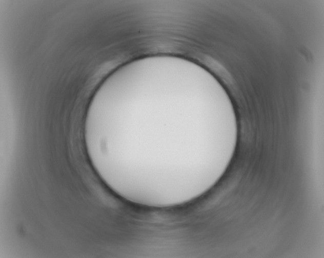 X0000113620481200910161956