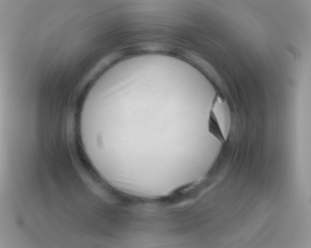 X0000113620482200910161956