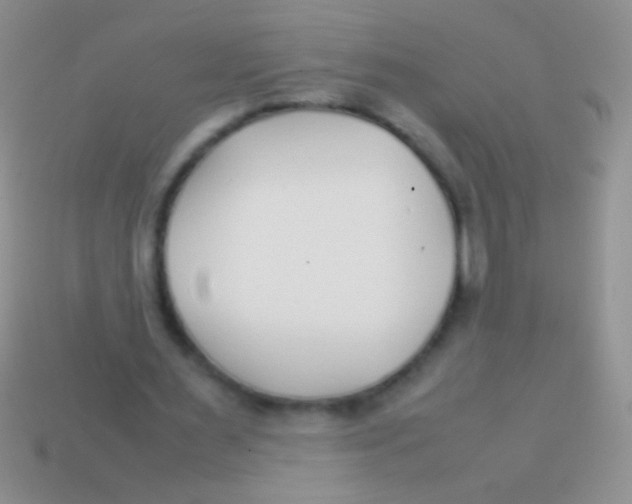 X0000113620483200910161956