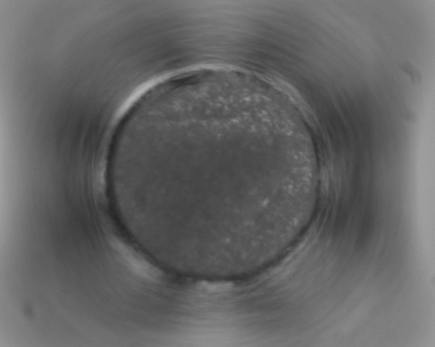 X0000113620484200910161956