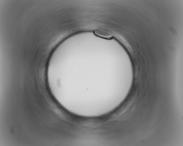 X0000113620485200910161956