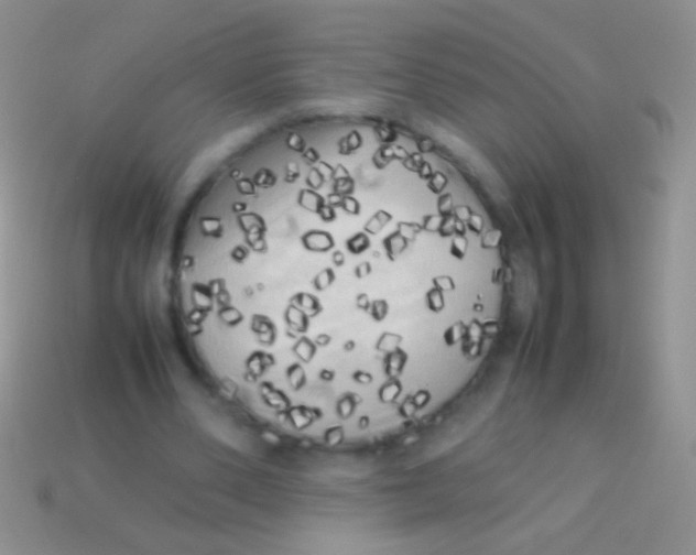 X0000113620486200910161956
