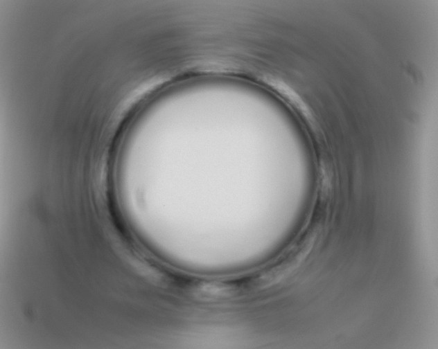 X0000113620487200910161956