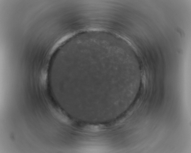 X0000113620488200910161956