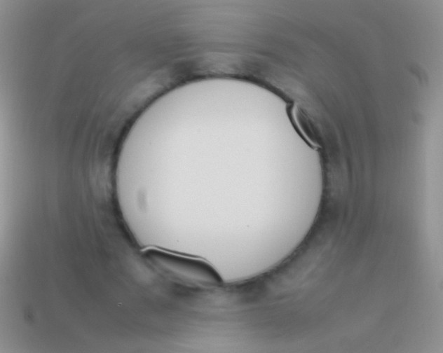 X0000113620489200910161956