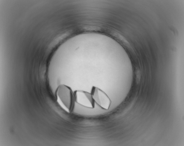 X0000113620490200910161956