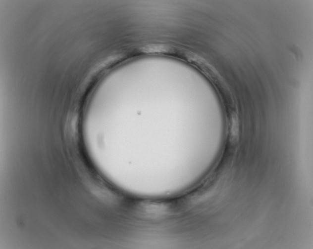 X0000113620491200910161956