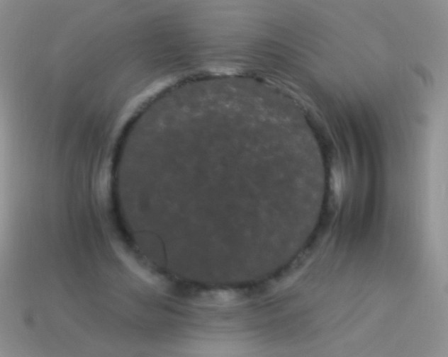 X0000113620492200910161956