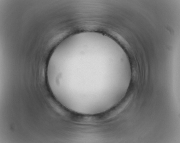 X0000113620493200910161956