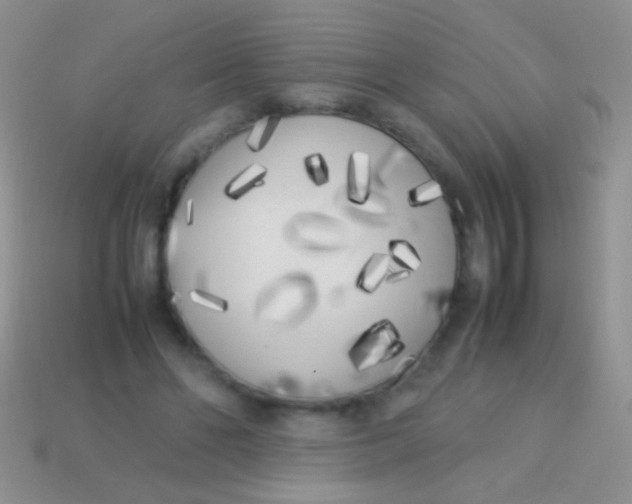 X0000113620494200910161956