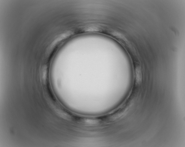 X0000113620495200910161956