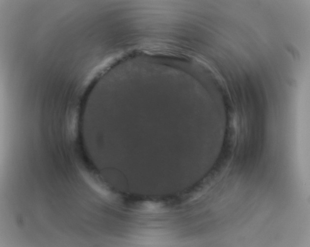 X0000113620496200910161956