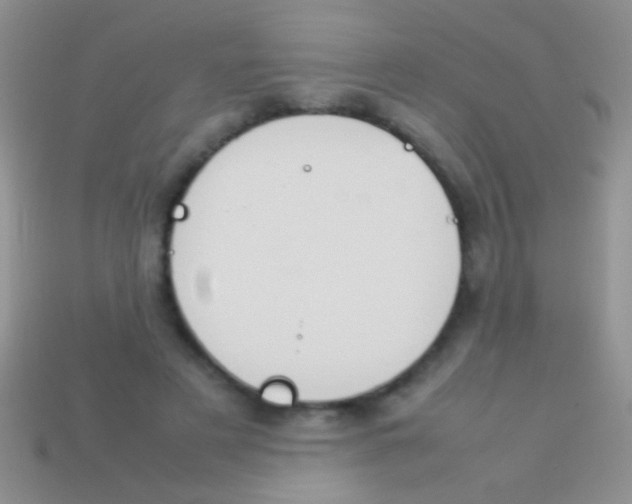 X0000113620497200910161956