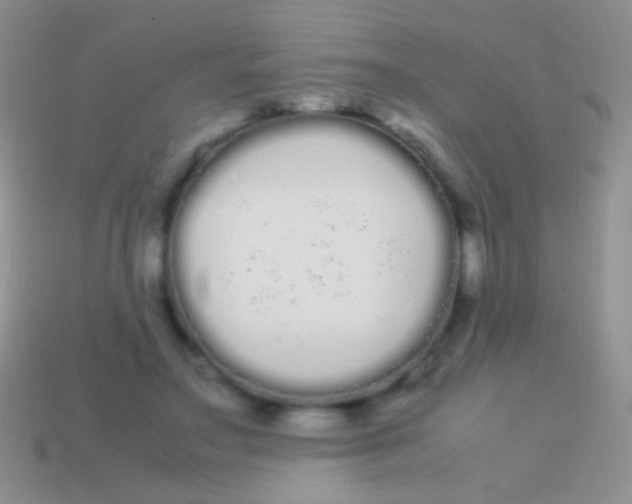 X0000113620499200910161956