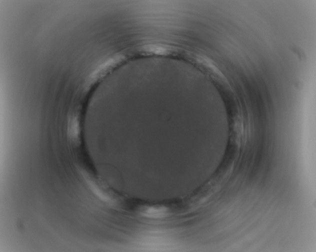 X0000113620500200910161956