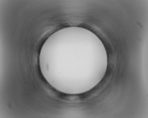 X0000113620501200910161956