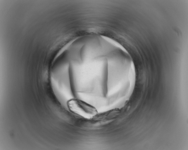 X0000113620502200910161956