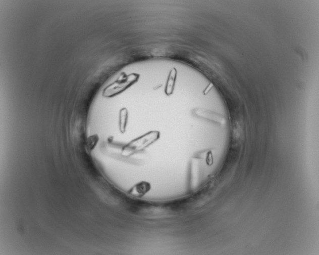 X0000113620503200910161956