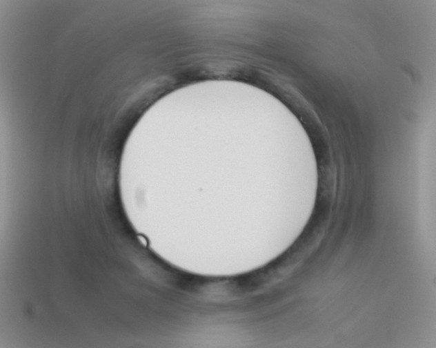 X0000113620505200910161956