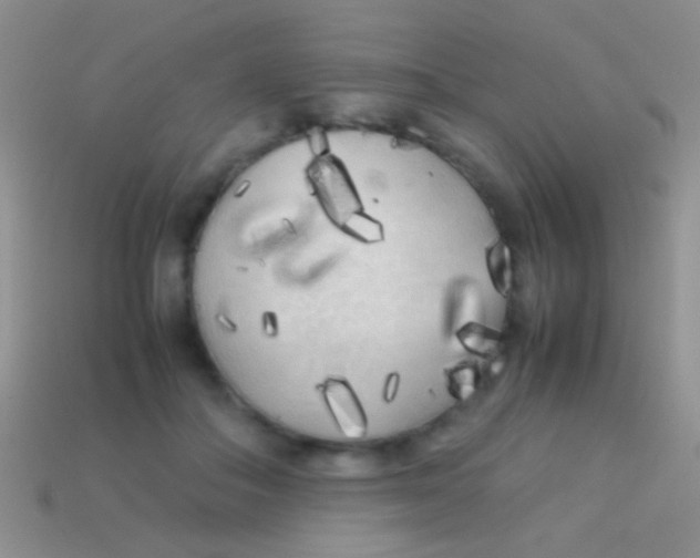 X0000113620506200910161956