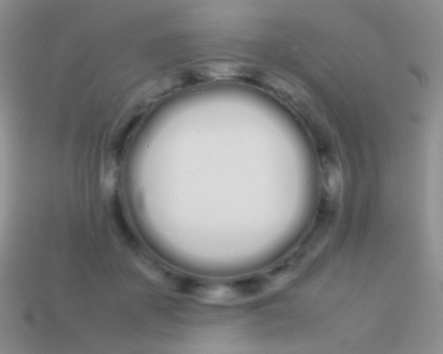 X0000113620507200910161956