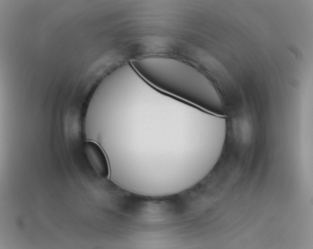 X0000113620508200910161956