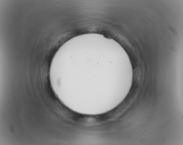 X0000113620509200910161956
