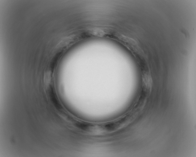 X0000113620511200910161956