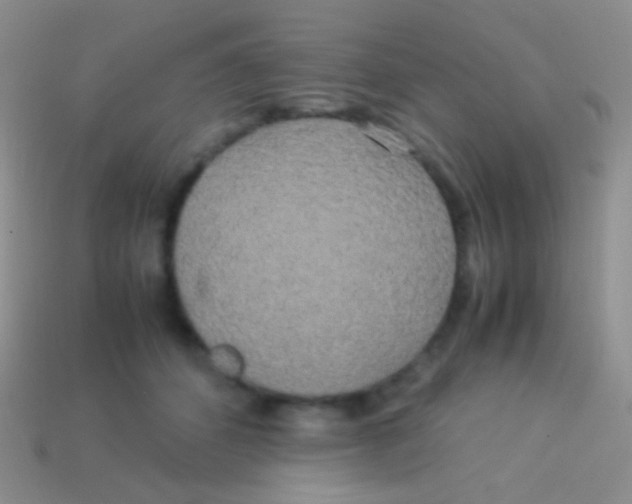 X0000113620512200910161956