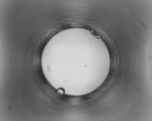 X0000113620513200910161956