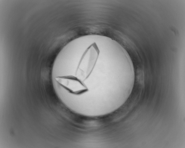 X0000113620514200910161956