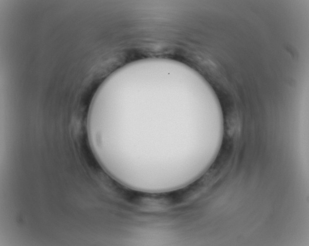 X0000113620515200910161956