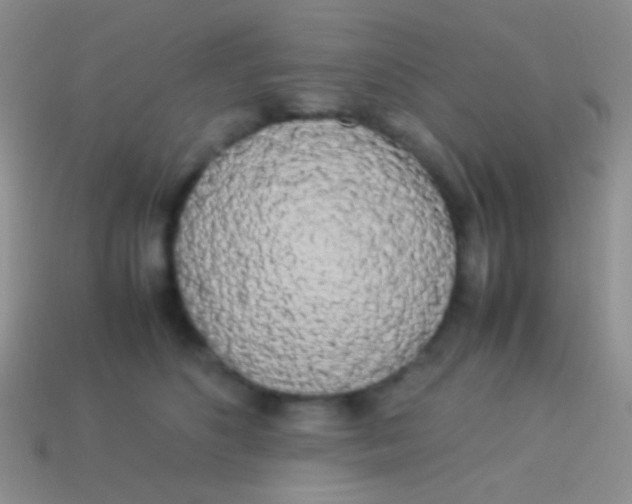 X0000113620516200910161956