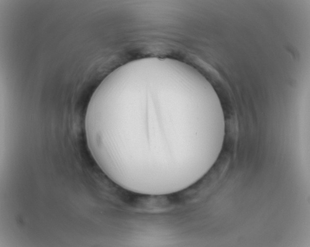 X0000113620517200910161956