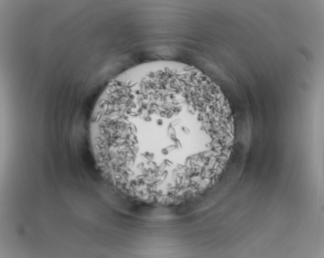 X0000113620518200910161956