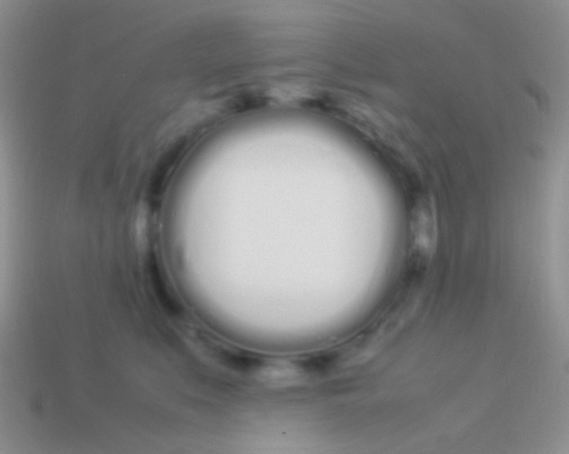 X0000113620519200910161956