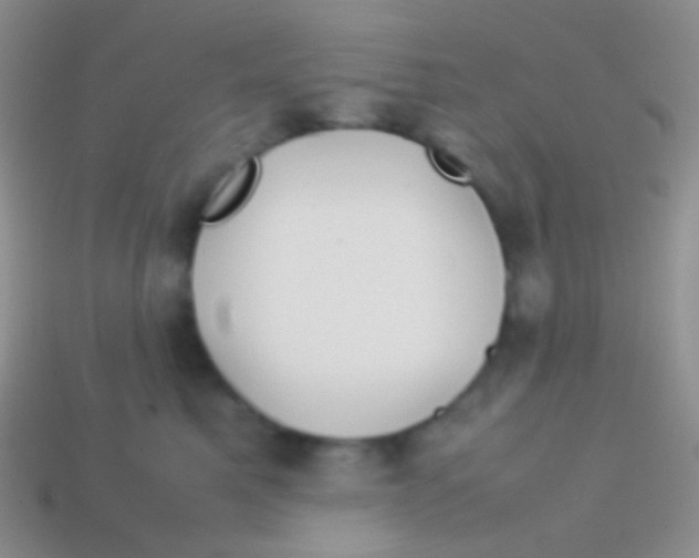 X0000113620521200910161956