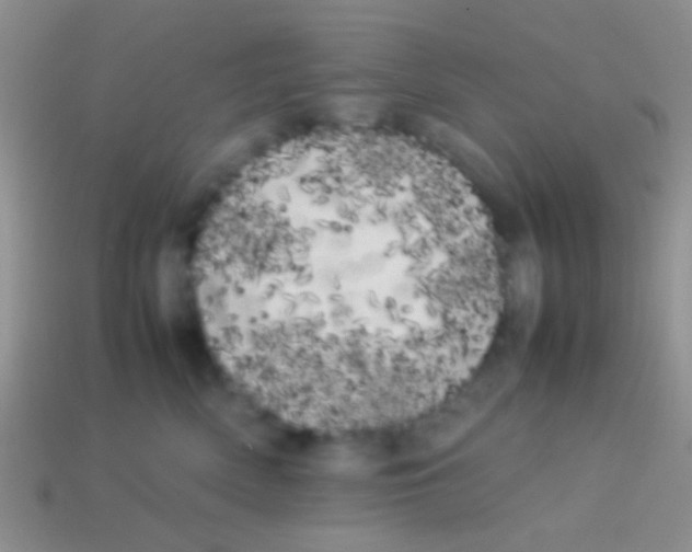 X0000113620522200910161956