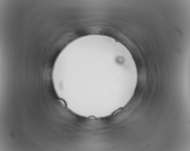 X0000113620525200910161956