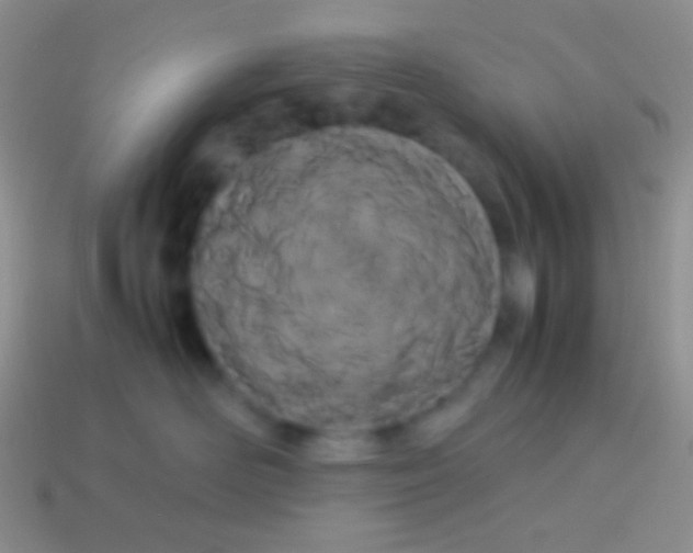 X0000113620526200910161956