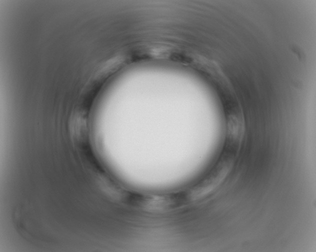 X0000113620527200910161956