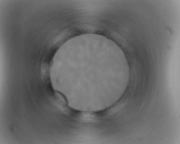X0000113620528200910161956