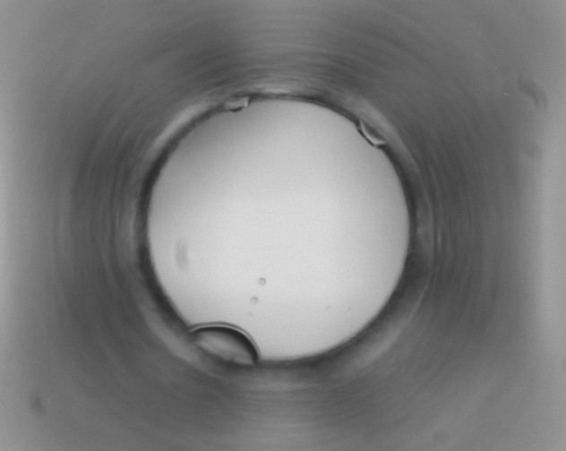X0000113620530200910161955