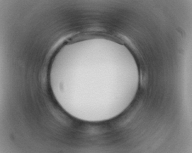 X0000113620531200910161955